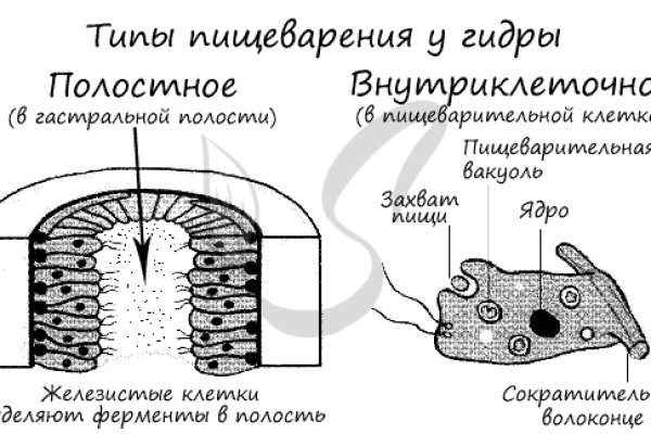 Регистрация на сайте кракен