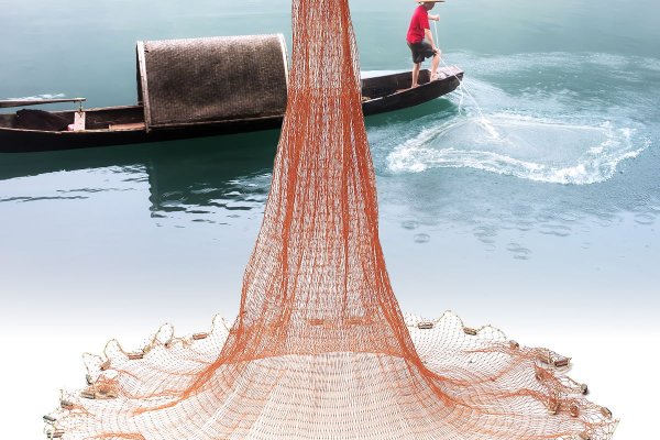 Kraken 24 top