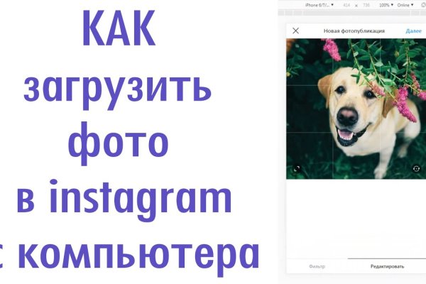 Ссылка на кракен шоп