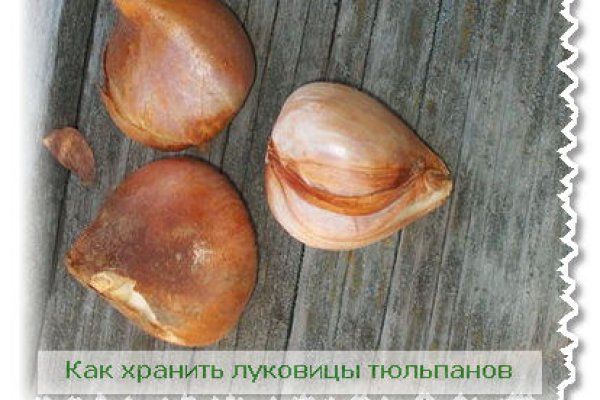 Kraken это современный маркетплейс