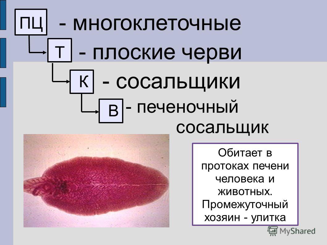 Почему не получается зайти на кракен