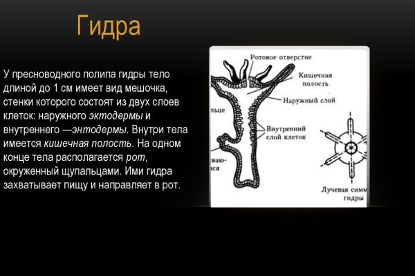 Кракен 22