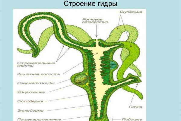 Наркотики заказать