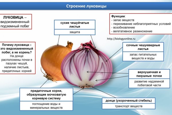Официальная тор ссылка кракен сайта