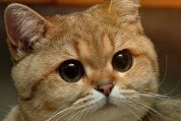 Кракен это наркота