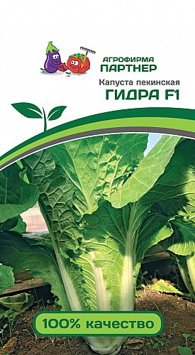 Ссылка на даркнет в тор